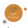 Agile Processes